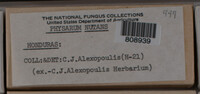 Physarum nutans image